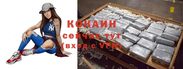 шишки Новодвинск