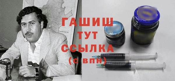 шишки Новодвинск