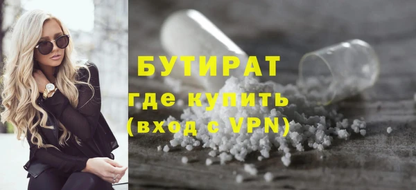 шишки Новодвинск