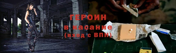 шишки Новодвинск