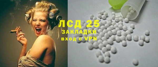 шишки Новодвинск