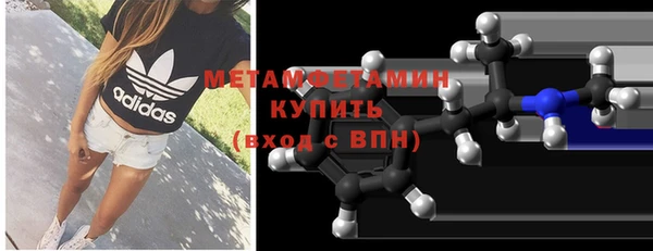 шишки Новодвинск