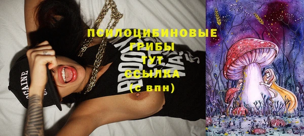шишки Новодвинск