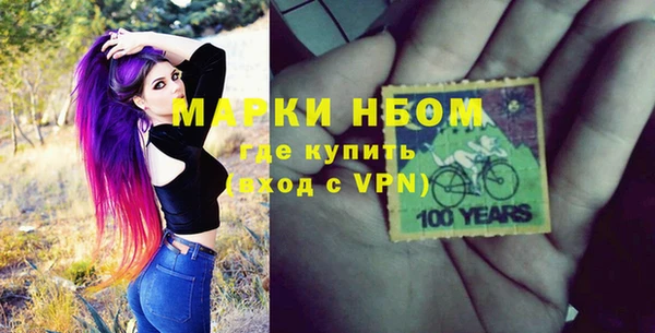 шишки Новодвинск
