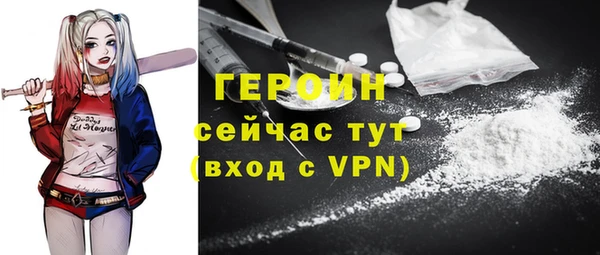 шишки Новодвинск