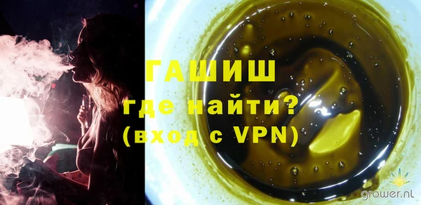 шишки Новодвинск