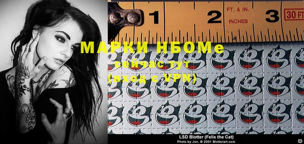 шишки Новодвинск