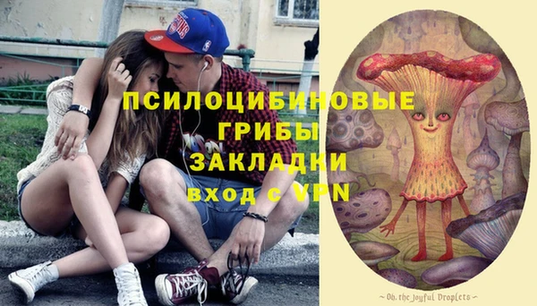 шишки Новодвинск