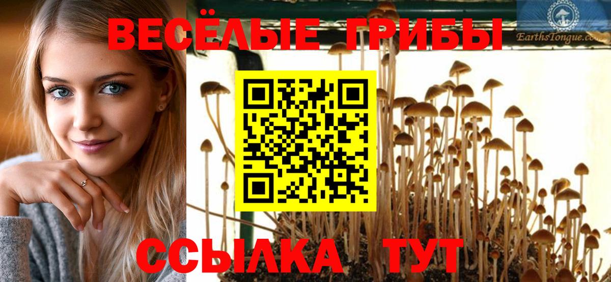 Галлюциногенные грибы MAGIC MUSHROOMS Волжск