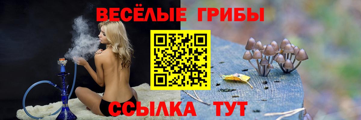 Псилоцибиновые грибы мицелий Волжск